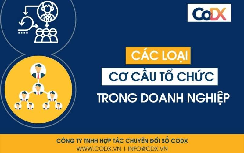 Các loại cơ cấu tổ chức doanh nghiệp