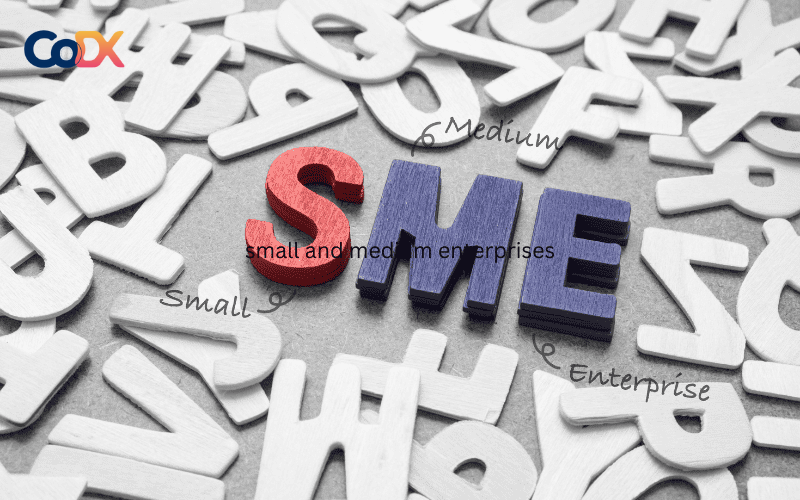 Doanh nghiệp SMEs là gì?