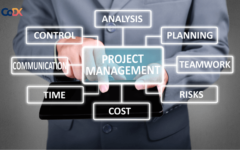 Tiêu chí chọn phần mềm quản lý dự án online