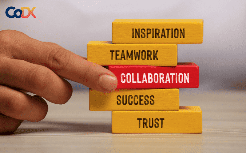 Collaboration là gì