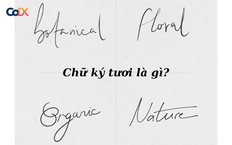 Chữ ký tươi là gì