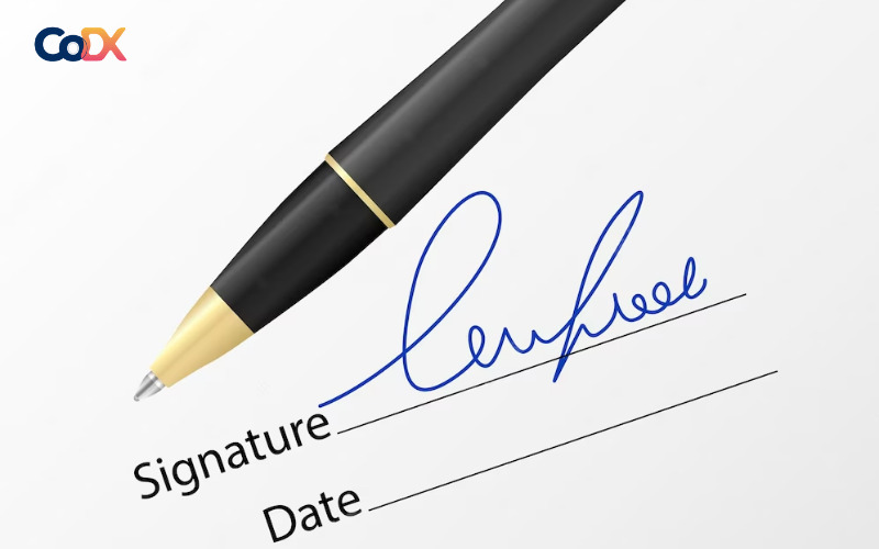 Quy định về ký chính thức