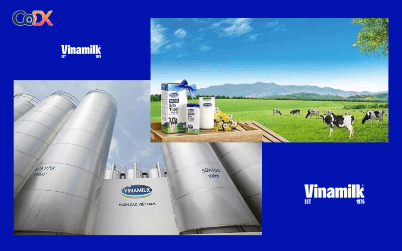 Giới thiệu về công ty Vinamilk 