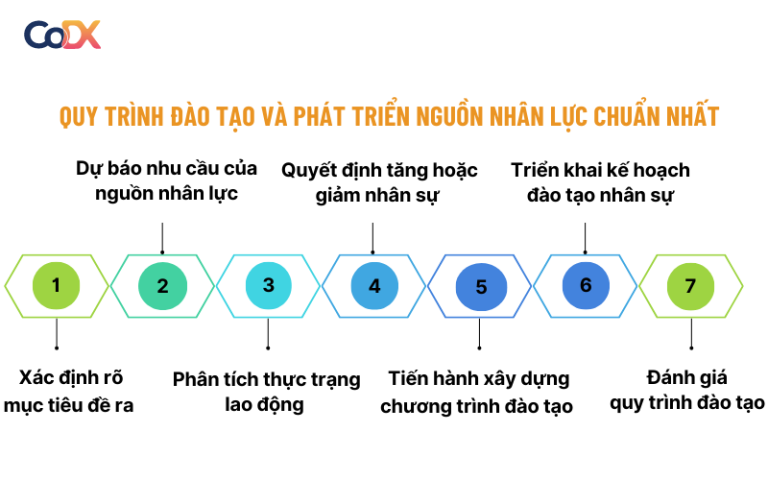[7 BƯỚC CHUẨN HÓA] Quy trình đào tạo và phát triển nguồn nhân lực
