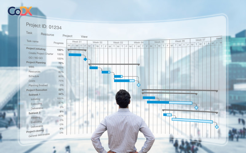 Project milestones