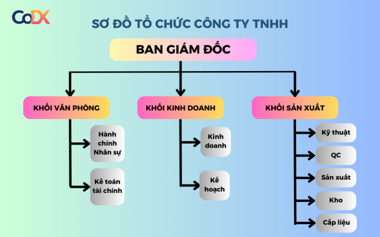 8 Mẫu Sơ Đồ Tổ Chức Công Ty Phổ Biến Hiện Nay (Mới 2024)