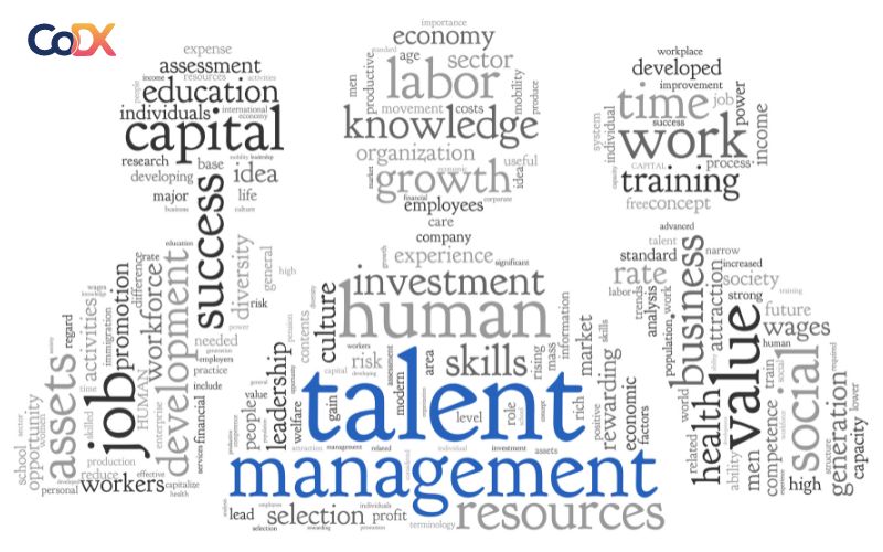 talent management là gì
