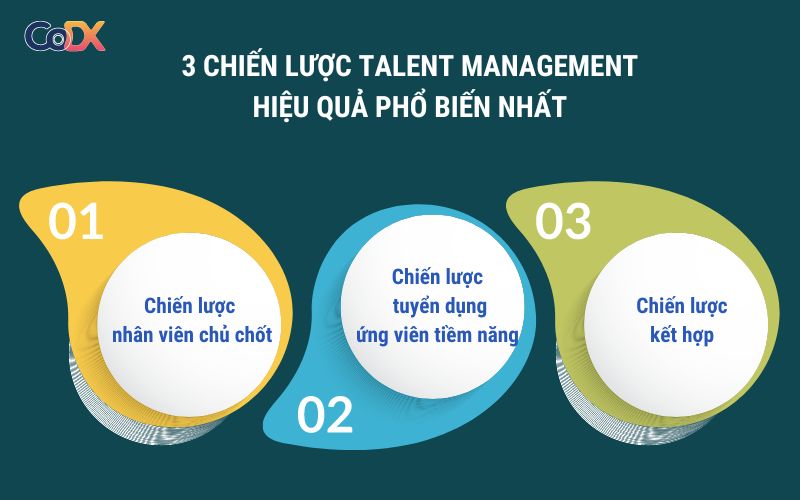 talent management là gì
