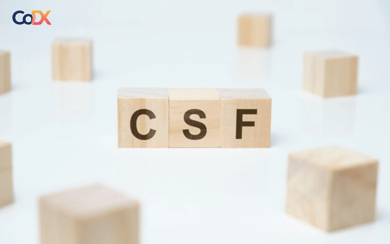 CFS là gì