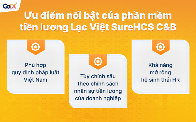 Phần mềm nhân sự tiền lương LV SureHCS